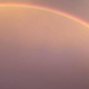 Meet your Posher, Dan